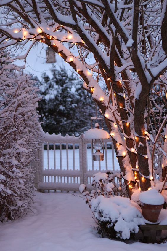 Outdoor christmas decorations