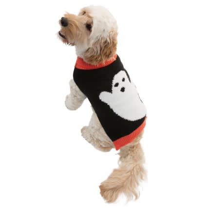 Halloween outfits for dogs from B&M