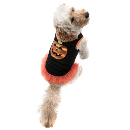 Halloween outfits for dogs from B&M