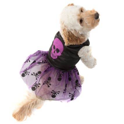 Halloween outfits for dogs from B&M