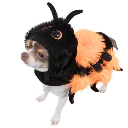 Halloween outfits for dogs from B&M