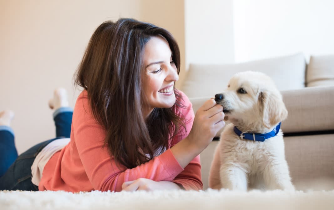 Blog-Purina-Puppy-1744px