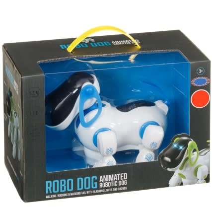 Dexter the robo dog