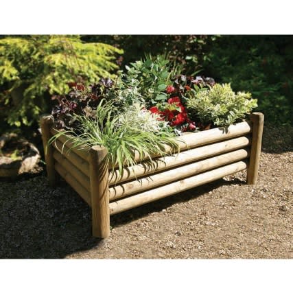 gardening tips for beginners from B&M