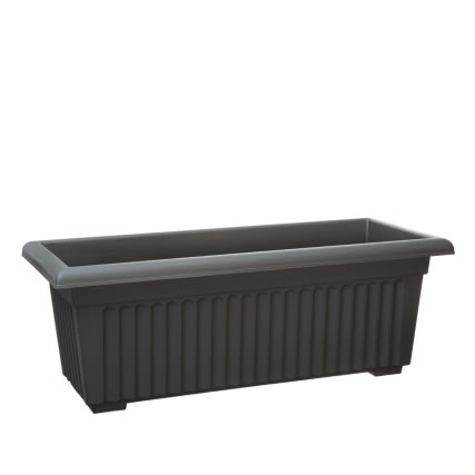 gardening tips for beginners from B&M