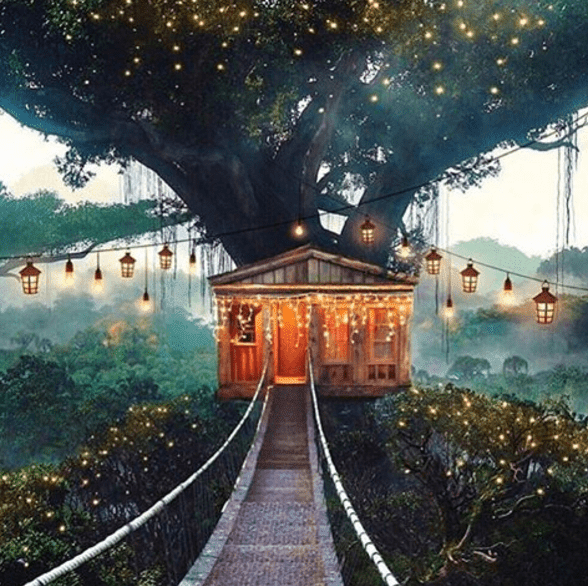 Treehouse date